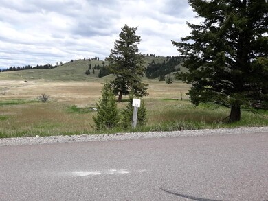 181 Bison Circle Dr, Kalispell, MT 59901 - photo 4