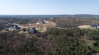 117 Waterview Garden Ln, Roland, AR 72135 - photo 4