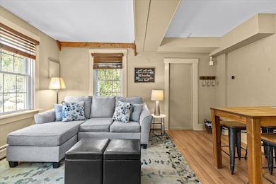 134 S Main St unit A2, Stowe, VT 05672 - photo 5