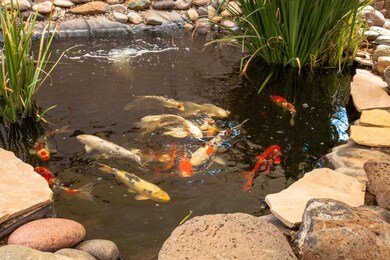 Charming Koi Pond