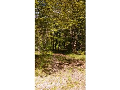 673 Shippee Rd, Readsboro, VT 05350 - photo 2