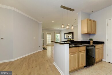 4551 Strutfield Ln unit 4304, Alexandria, VA 22311 - photo 2