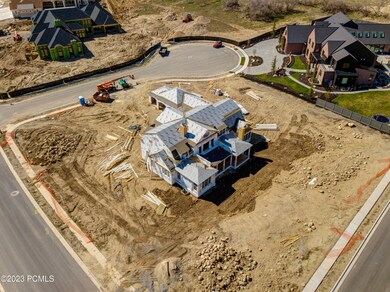1550 N Eliza Cir Drone_05