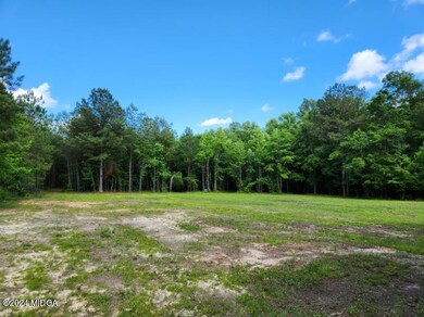 447 Chapman Rd, Macon, GA 31211 - photo 4