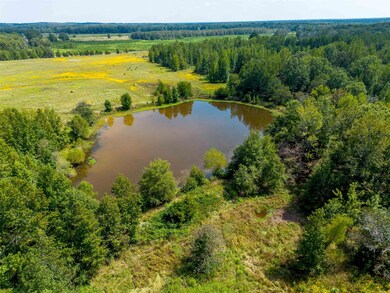 000 Gillham Rd, Beebe, AR 72012 - photo 2