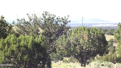 11139 Howard Mesa Loop, Williams, AZ 86046 - photo 7