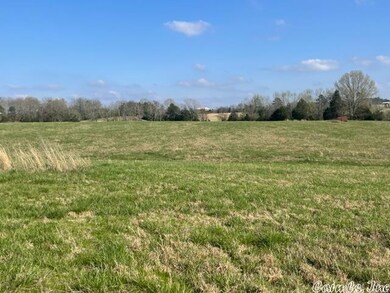 Tract 3 Dot's Cove, Quitman, AR 72131 - photo 5