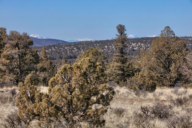 05 Longhorn Ridge Ln._Lot 69_007