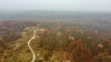 0 V L 40 Acres 160th Ave unit 25059904, Big Rapids, MI 49307 - photo 3