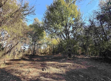 Tbd County Road 4316, de Kalb, TX 75559 - photo 7