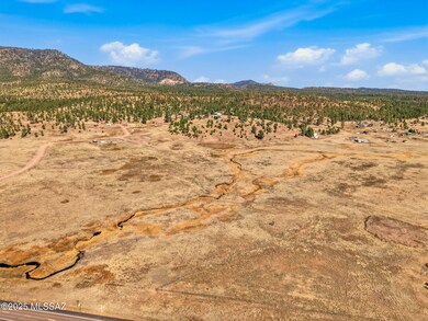 Lot 25 the Ranch at Alpine unit 25, Alpine, AZ 85920 - photo 6