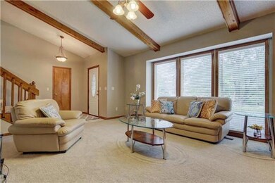 7958 Greenwood St, Lenexa, KS 66215 - photo 4