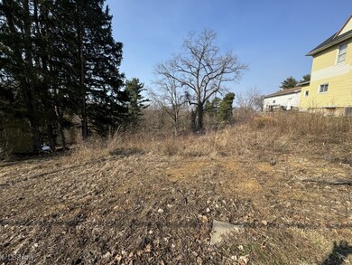 203 Morristown Flushing Rd, Flushing, OH 43977 - photo 4