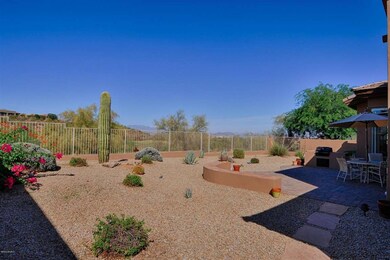 Backyard View 3