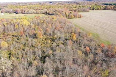 0 Brockway Rd unit LotWP001, Roaming Shores, OH 44085 - photo 4