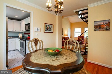 4640 36th St S unit B1, Arlington, VA 22206 - photo 6