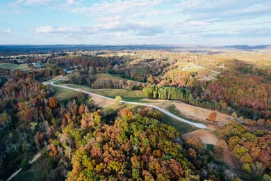 Tract 11 Newell Rd, Somerset, KY 42503 - photo 5