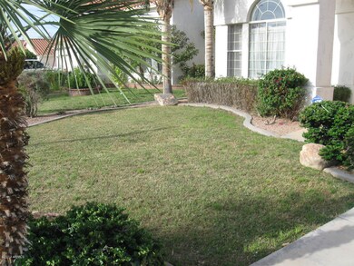 Front Yard Landscaping