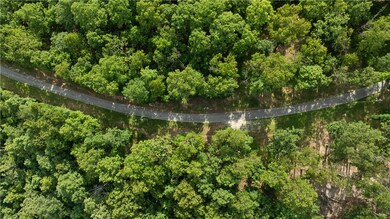 Lot 8 Esculapia Hollow Rd, Rogers, AR 72758 - photo 6