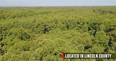 Lot 18 Vesuvius Furnace Rd, Iron Station, NC 28080 - photo 5