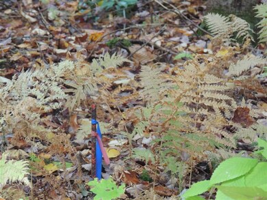 12-1123 Chapel Hill Rd, Whitingham, VT 05342 - photo 3