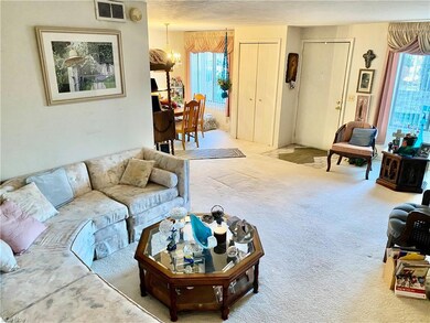 Living Room into Dining Room