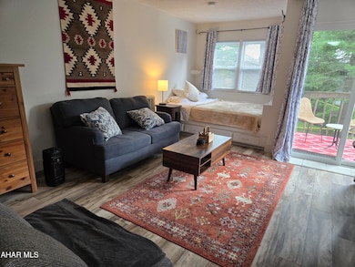 185 E Valley Point Ln unit B202, Claysburg, PA 16625 - photo 3