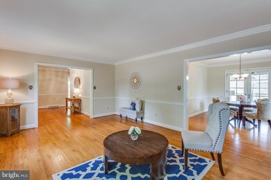 1004 Vassar Rd, Alexandria, VA 22314 - photo 6