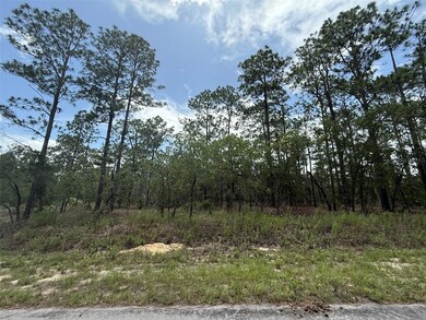0 NW Tree Top Rd unit MFROK225311, Dunnellon, FL 34431 - photo 6