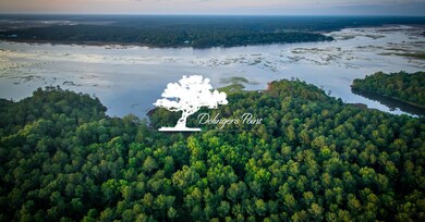 DelingersPointLogoHeader_Resized