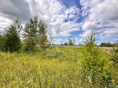 XXX Curry Rd unit Eileen, Eileen, WI 54856 - photo 4