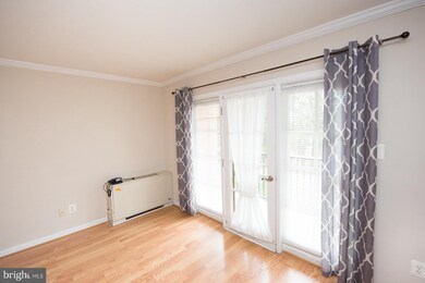 3332 Spring Ln unit C22, Baileys Crossroads, VA 22041 - photo 6