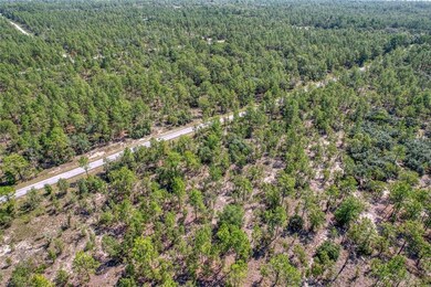 TBD SW Nautilus Blvd, Dunnellon, FL 34431 - photo 4