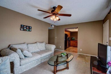 6-Family Room