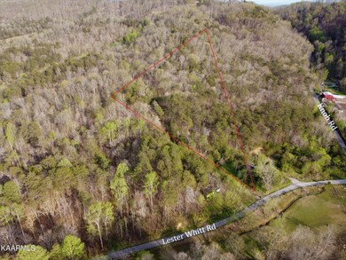 0 Lester Whitt Rd unit 1188060, Rutledge, TN 37861 - photo 4