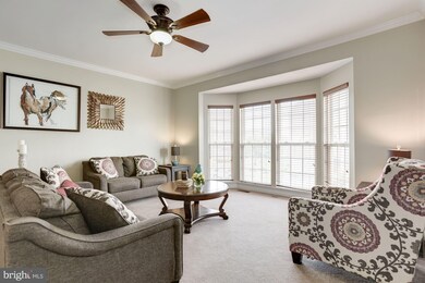 25395 Elm Terrace, Aldie, VA 20105 - photo 7