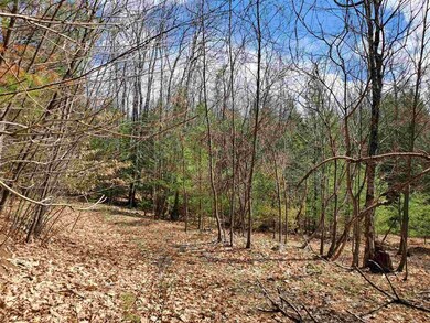 0 Oxbow Rd, Hinsdale, NH 03451 - photo 6