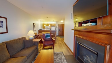 # 238 Allegheny Springs Lodge, Snowshoe, WV 26209 - photo 7