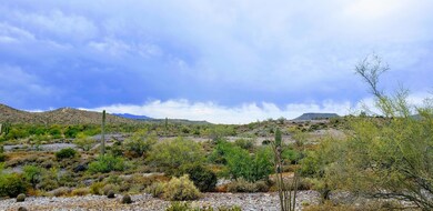 Open Desert Lush Vegetation