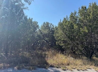 Lot K10037 Dew Drop, Cottonwood Shores, TX 78657 - photo 5