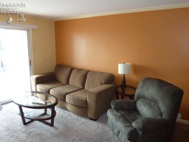 118 Clinton Reef Dr unit 118, Port Clinton, OH 43452 - photo 5