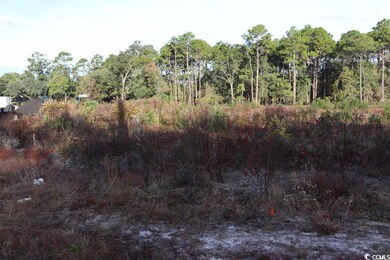 7765 Ocean Hwy unit HWY 17 S, Pawleys Island, SC 29585 - photo 5