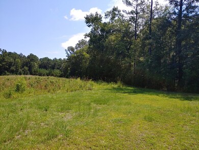 000 Oak Hampton Rd, Fleming, GA 31309 - photo 2