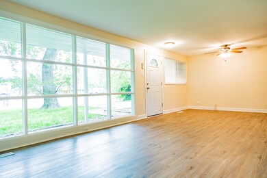 17740 Anthony Ave, Country Club Hills, IL 60478 - photo 4