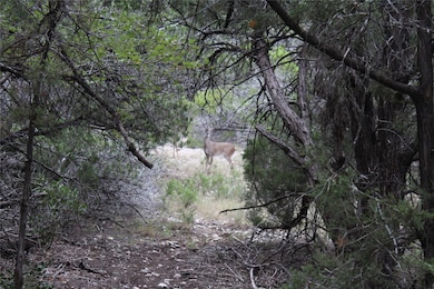 20701 Northland Dr, Lago Vista, TX 78645 - photo 5