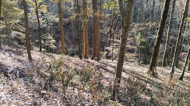 16 Lake View, Smithville, TN 37166 - photo 5