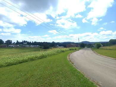 Lot 11 Pocahontas Ln, Rutledge, TN 37861 - photo 3