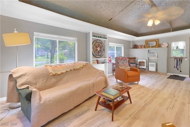Living area with a ceiling fan, wood finished floors, a tray ceiling, and heating unit