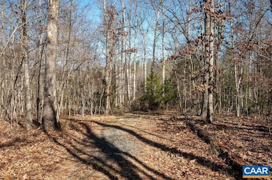 0 Frays Mill Rd unit 667906, Advance Mills, VA 22968 - photo 3