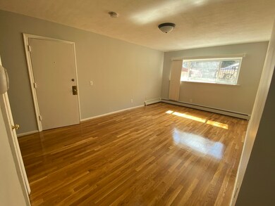 20 Dix St unit 1, Dorchester, MA 02122 - photo 4